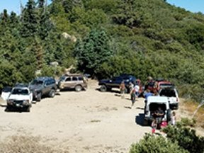 Vehicles on a dirt road with green trees in background.